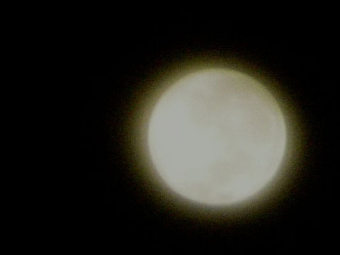 2009-08-05,11:56PM,Tasco 8x35 & Nikon Coolpix 950