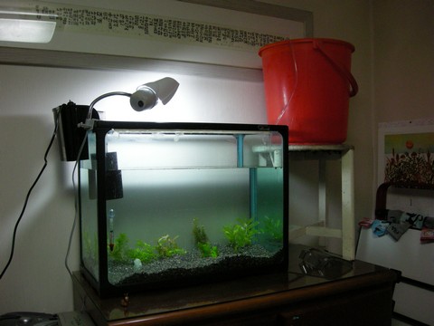 Image00001 Image00001