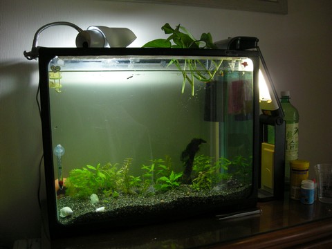 Image00005 Image00005