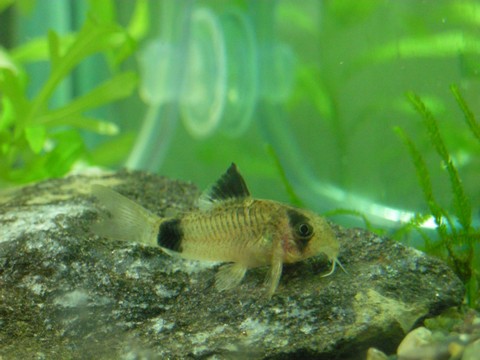 Image00032 Image00032