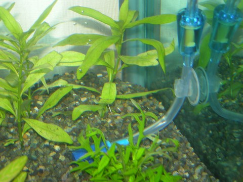 Image00033 Image00033