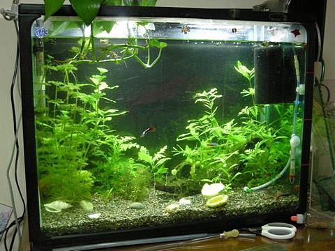 mul100713-2 mul100713-2