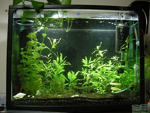 mul100713-3 mul100713-3