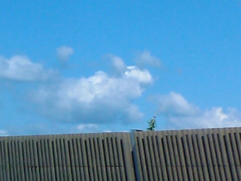 201009231345_823 201009231345_823