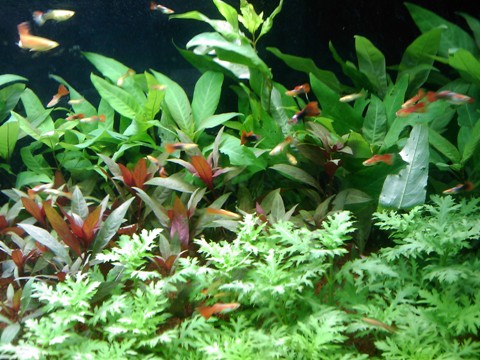 201010021510_946 201010021510_946